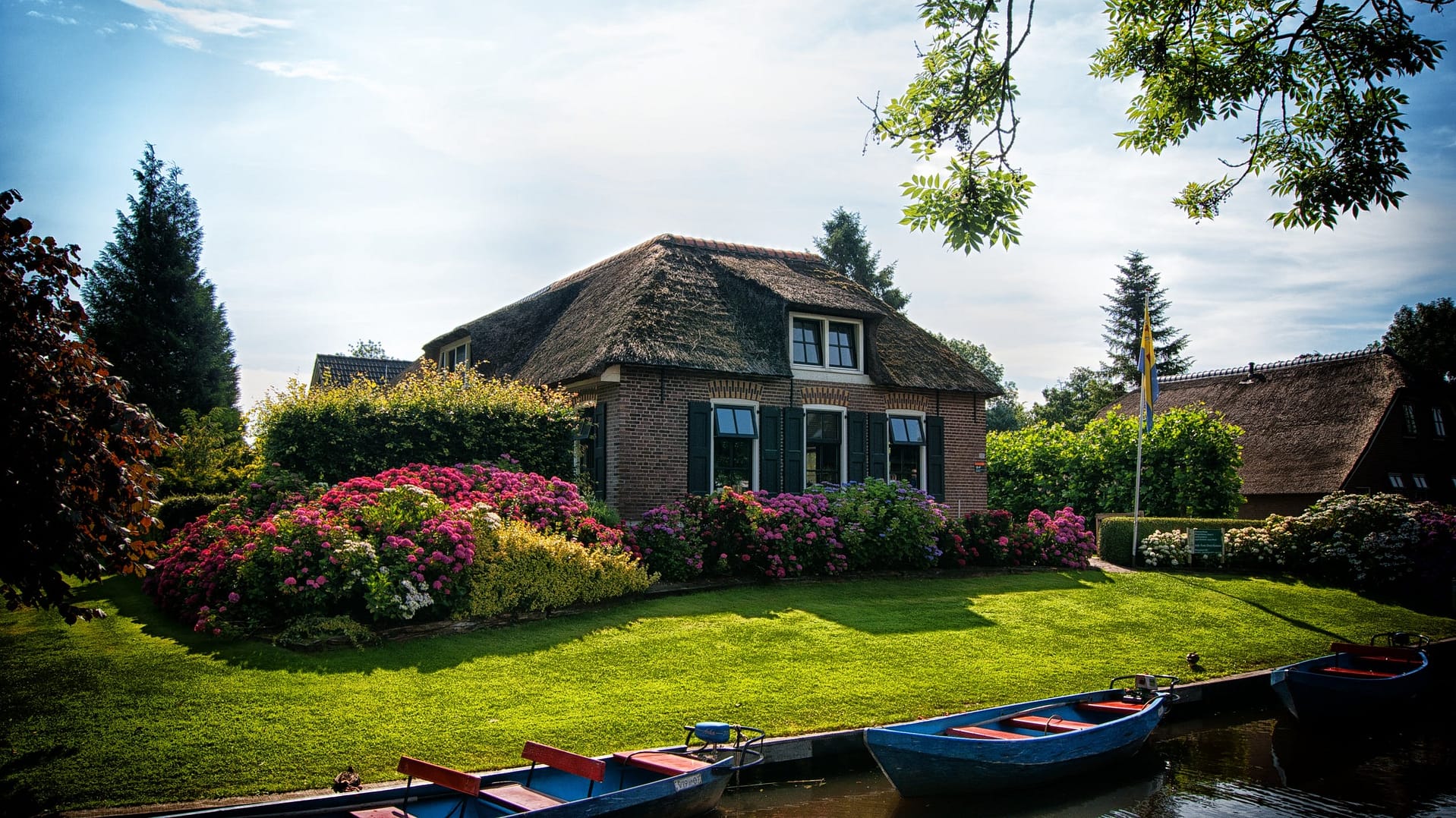 perfect home front yard