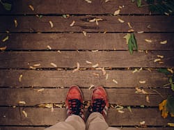 timber deck 