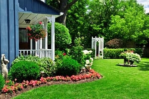 Front yard of a house