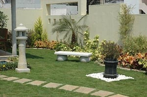 backyard garden
