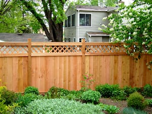 Backyard fence
