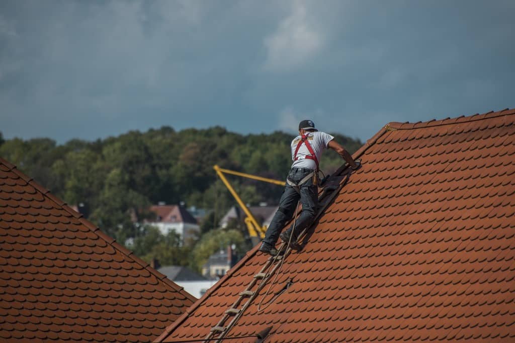 putting up new roof